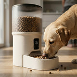 Automatisk foderautomat til hunde 3.0 lige udkommet